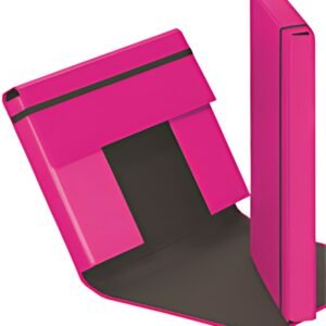 PAGNA boîte de classement "Trend Colours", format A4,