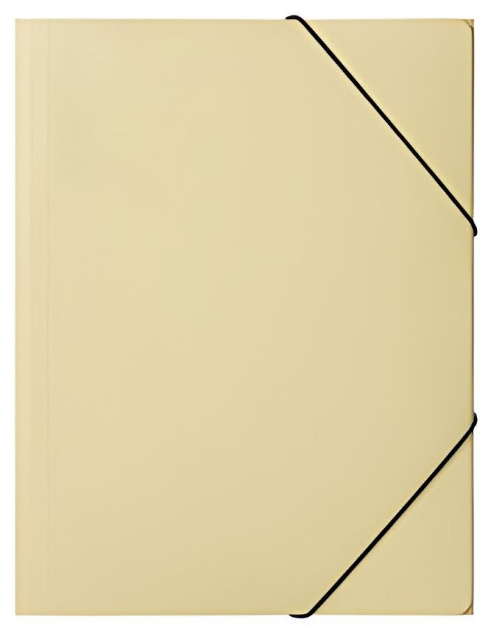 PAGNA Chemise à élastiques "Pastell eco", A4, PP, jaune