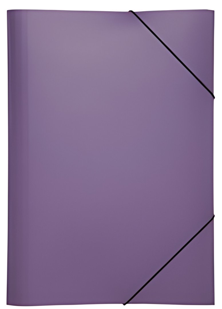 PAGNA chemise à élastique "trends Colours", A4, lilas