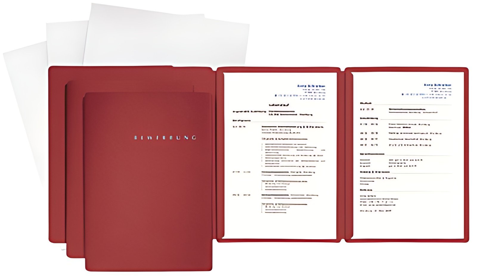 Kit d'application PAGNA "Spécial", DIN A4, rouge, 3 pièces