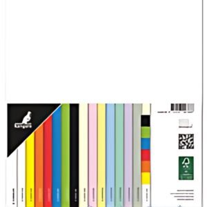 kangaro Papier multifonction, A4, 160 g/m2, blanc