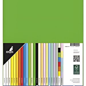 kangaro Papier multifonction, A4, 160 g/m2, vert