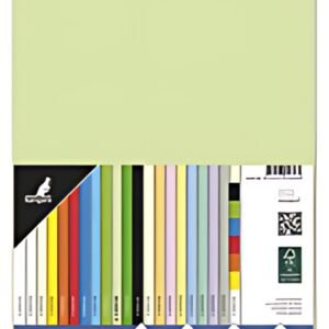 kangaro Papier multifonction, A4, 160 g/m2, vert pâle