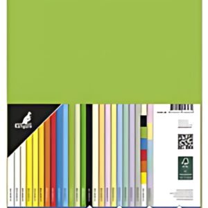 kangaro Papier multifonction, A4, 160 g/m2, vert clair