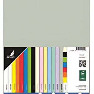 kangaro Multifunktionspapier, DIN A4, 160 g/qm, pastellgrau
