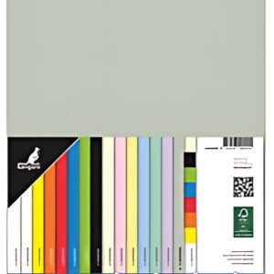 kangaro Multifunktionspapier, DIN A4, 120 g/qm, pastellgrau