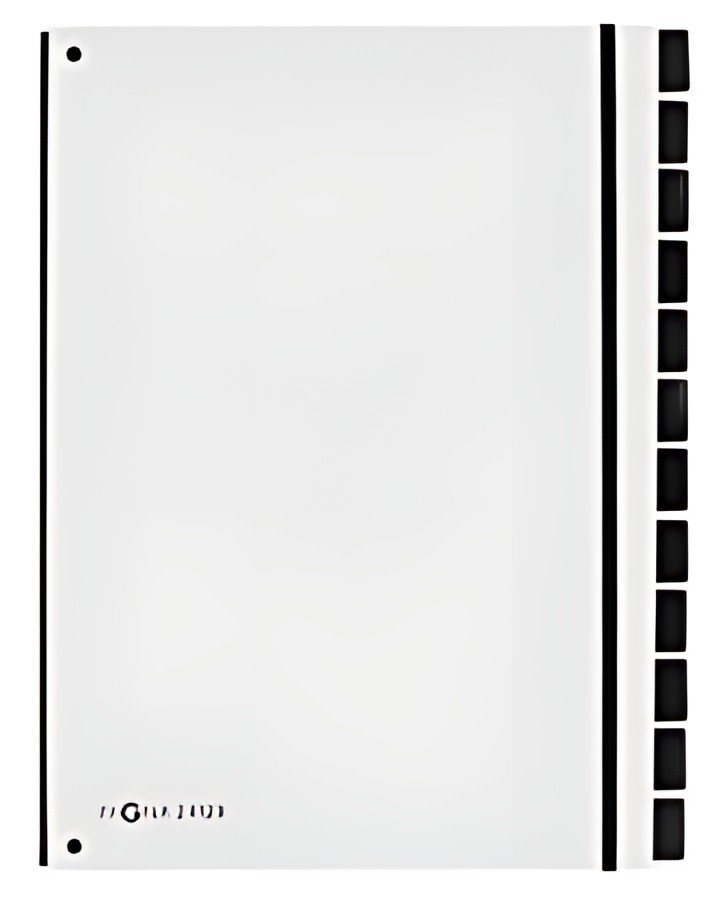 PAGNA Trieur Trend, A4, 12 compartiments, blanc