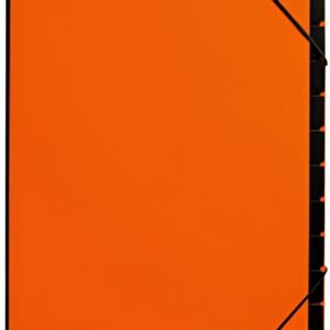 PAGNA Trieur Trend, A4, 10 compartiments, orange