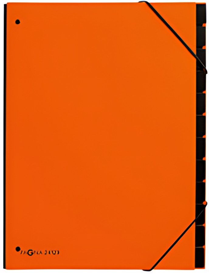 PAGNA Trieur Trend, A4, 10 compartiments, orange