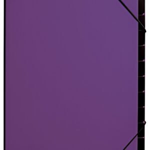 PAGNA Trieur Trend, A4, 12 compartiments, violet