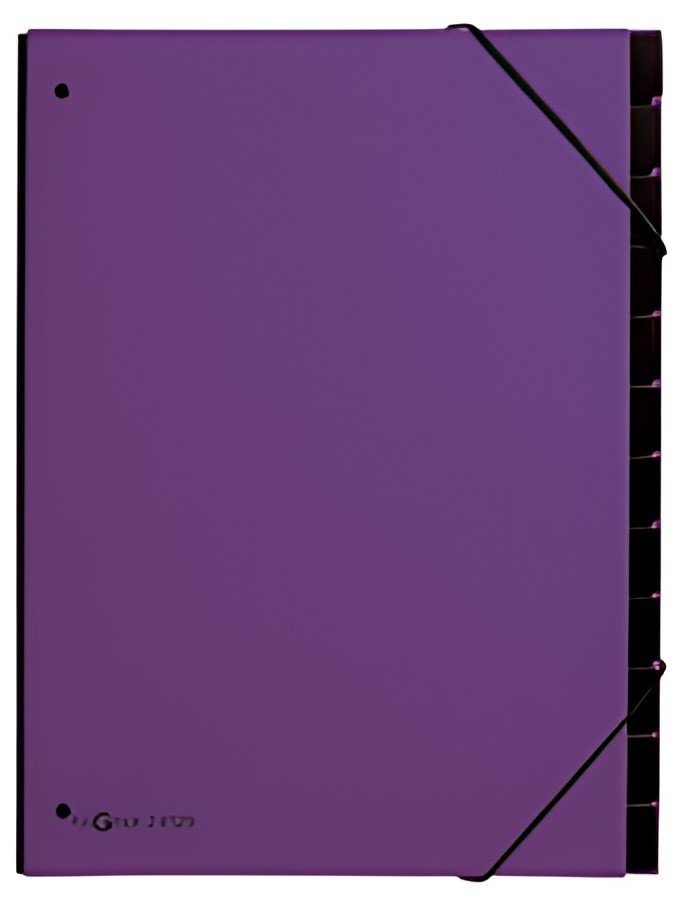 PAGNA Trieur Trend, A4, 12 compartiments, violet