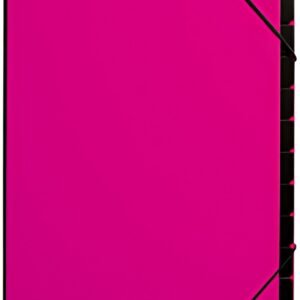 PAGNA Trieur Trend, A4, 12 compartiments, rose foncé