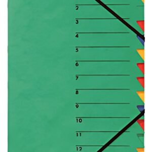 PAGNA trieur "EASY", A4, carton, 12 compartiments, vert