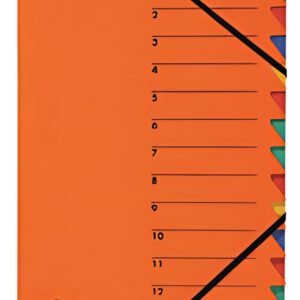 PAGNA trieur "EASY", A4, carton, 12 compartiments, orange