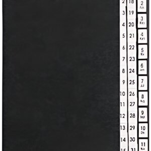 PAGNA trieur, format A4,44 compartiments, 1- 31 et 1-12/