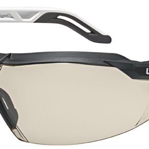 uvex Lunettes de protection i-5, teinte des oculaires: CBR65