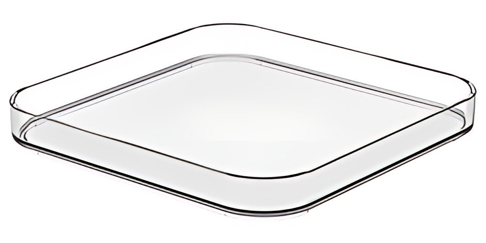 smartstore Couvercle pour boîte COMPACT SQUARE M/L