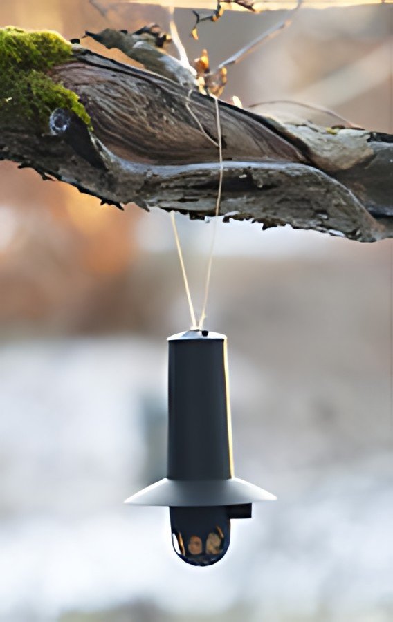 orthex Mangeoire pour oiseaux, noir