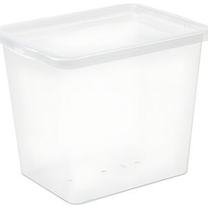 Plast team Boîte de rangement BASIC BOX, 31,0 litres