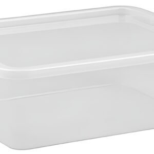 Plast team Boîte de rangement BASIC BOX, dessous de lit, 30L