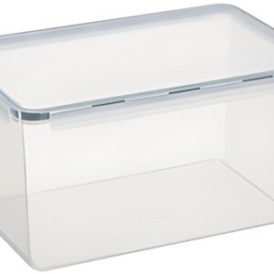 plast team Boîte de conservation Amsterdam, 1,05 litre, vert