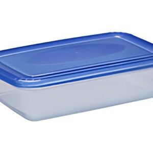 plast team Boîte de congélation Polar, 0,45 litre, bleu