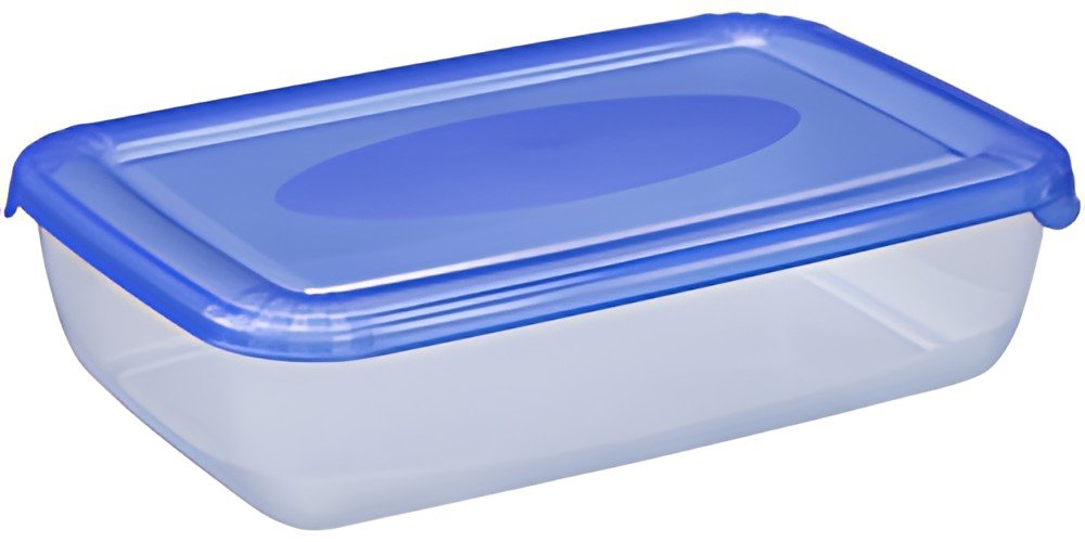 plast team Boîte de congélation Polar, 3,0 litres, bleu