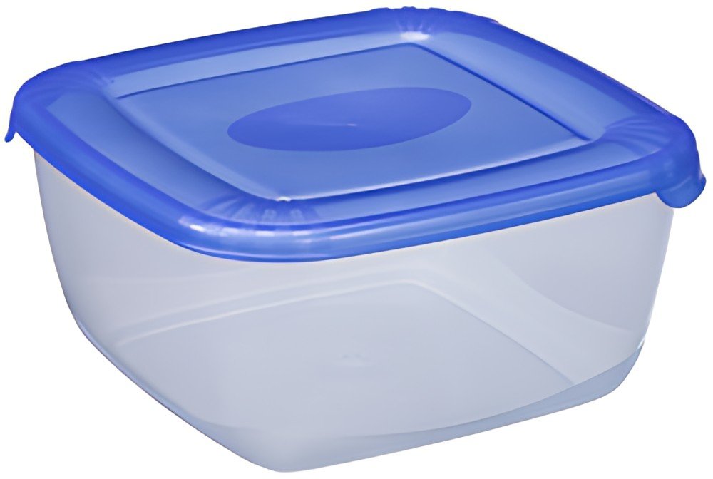 plast team Boîte de congélation Polar, 1,5 litre, bleu