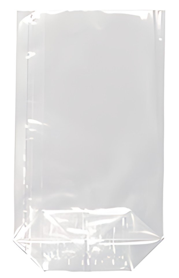 STARPAK Sachet à fond plat, (L)115 x (H)173 mm, transparent