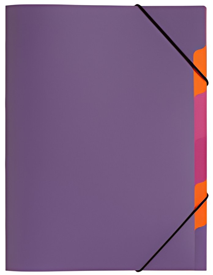 PAGNA Trieur "Funky School", A4, PP, 5 compartiments
