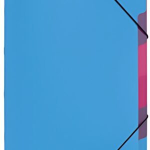 PAGNA Trieur "Funky School", A4, PP, 5 compartiments