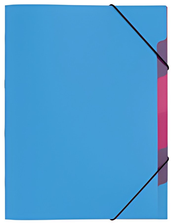 PAGNA Trieur "Funky School", A4, PP, 5 compartiments