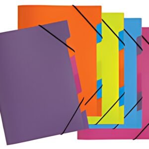 PAGNA Trieur "Funky School", A4, PP, 5 compartiments