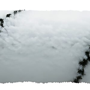 WESTEX Rouleau petites surfaces "Fil noir" 100 mm