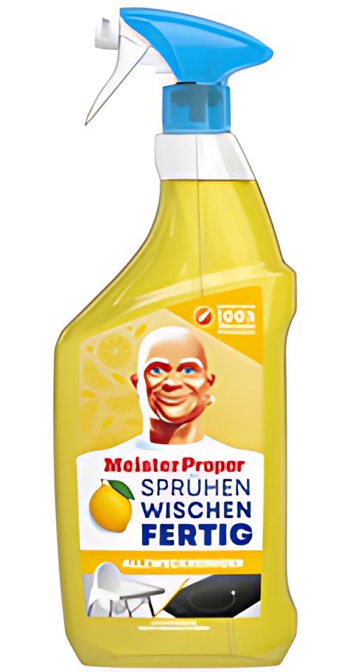 Meister Proper Spray multi-usage, vaporiser-essuyer-terminé