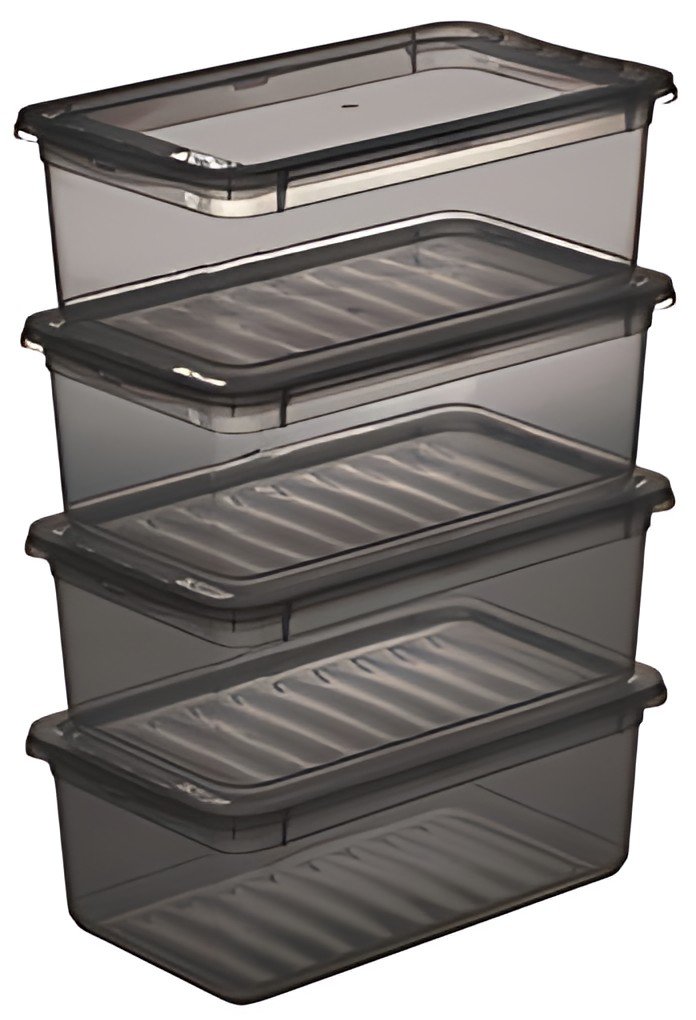 keeeper Set de boîtes de rangement "bea", 4x 5,6 L, gris