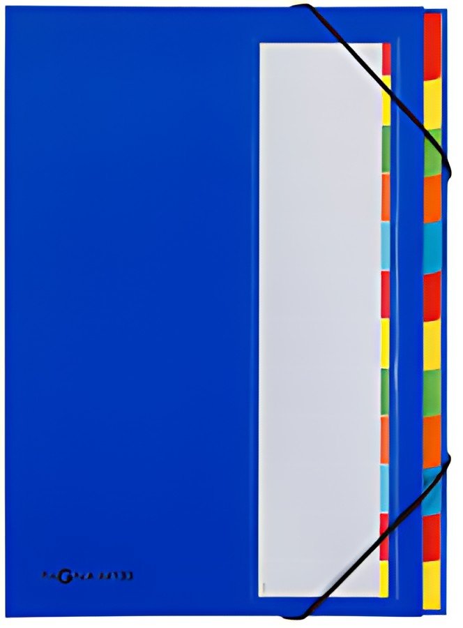 PAGNA trieur DESKORGANIZER Color, 12 poches, bleu