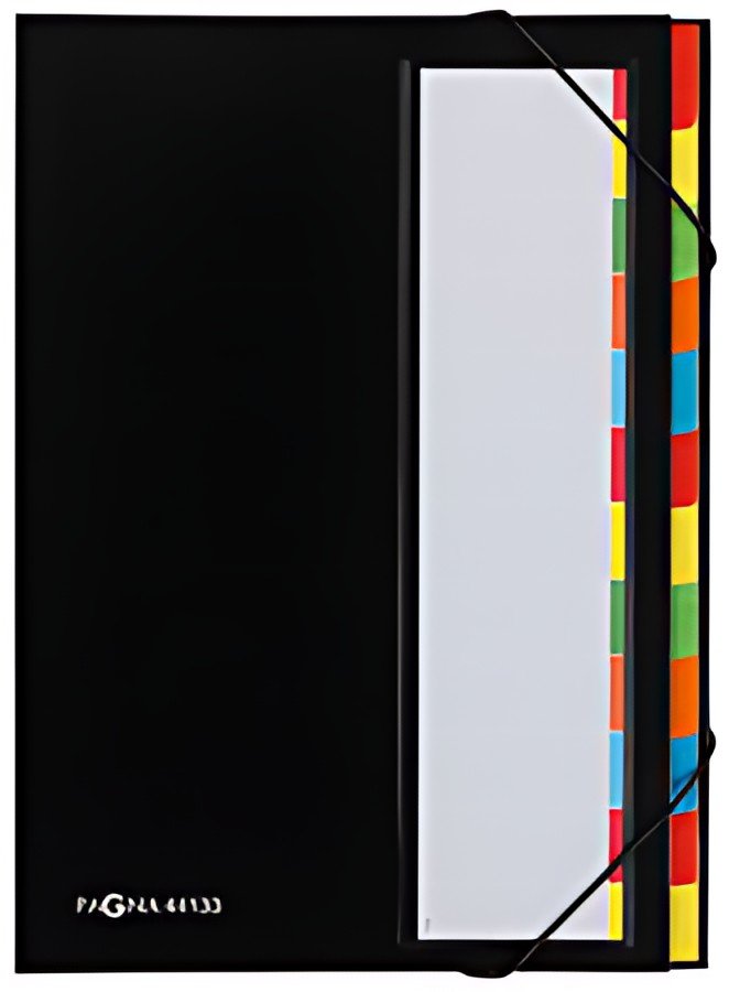 PAGNA trieur DESKORGANIZER Color, 12 poches, noir