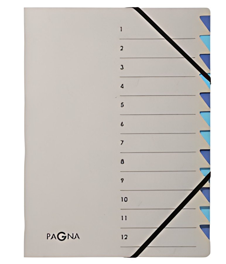 PAGNA Trieur "Easy Grey", A4, 12 compartiments, gris / bleu