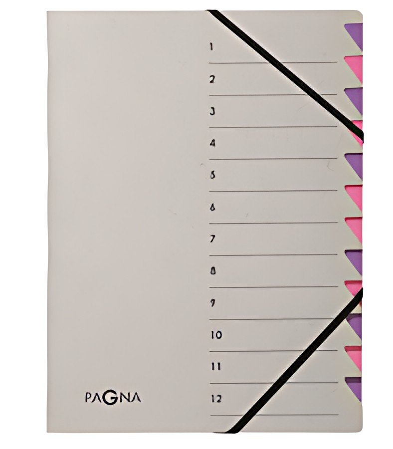 PAGNA Trieur "Easy Grey", A4, 12 compartiments, gris / lilas