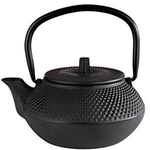 APS Théière ASIA, en fonte, 0,3 litre, noir