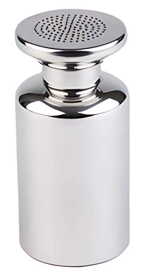 APS Salière à frites, acier inoxydable