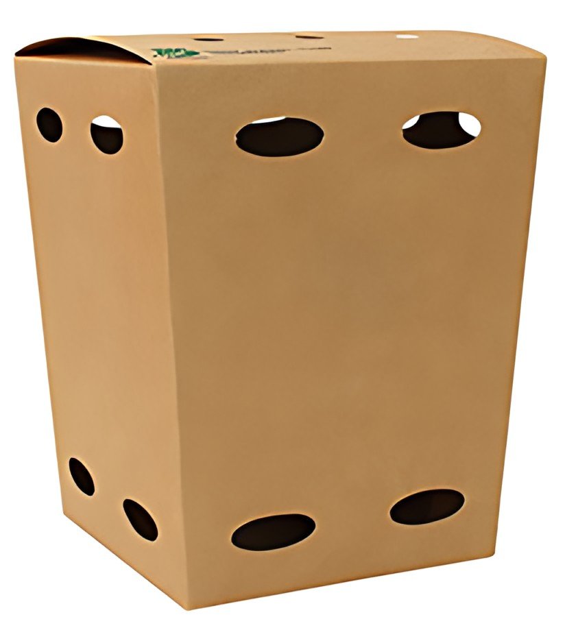 PAPSTAR Boîte à frites "pure", 140 x 145 x 145 mm