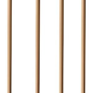 PAPSTAR Paille en papier "pure", 200 mm, brun