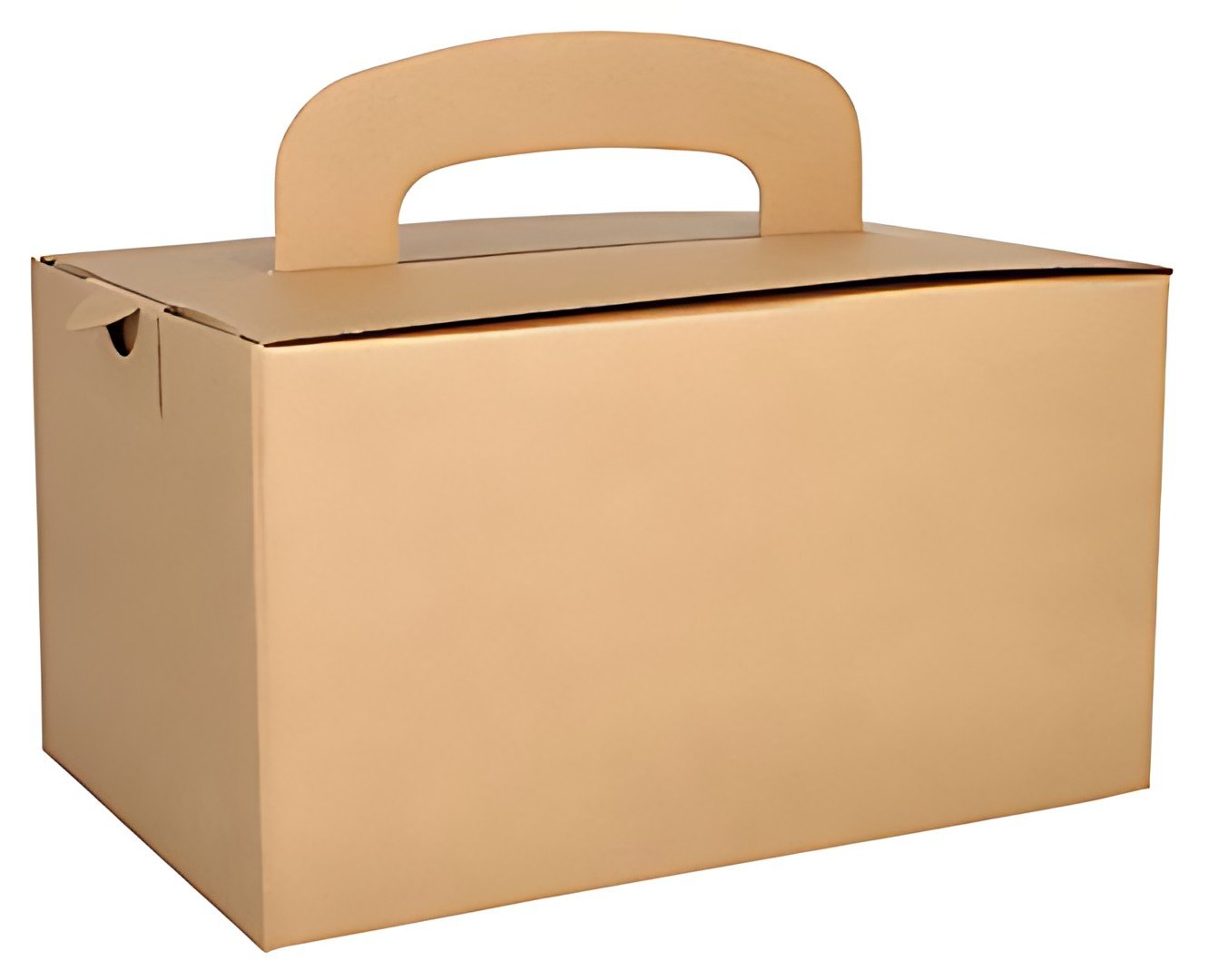 PAPSTAR Boîte repas "pure", avec poignée de transport, brun