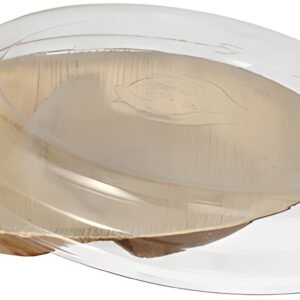 STARPAK Assiette en feuille de palmier, en 2 parties, 300 ml