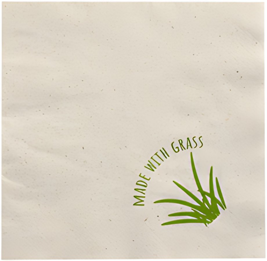 PAPSTAR Serviette de table, 300 x 300 mm, naturel