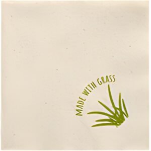 PAPSTAR Serviette coktail, 240 x 240 mm, naturel