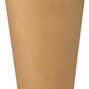 PAPSTAR Etui pour frites, brun, grand