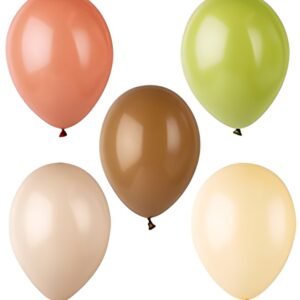 PAPSTAR Ballon de baudruche "Naturals", couleurs assorties
